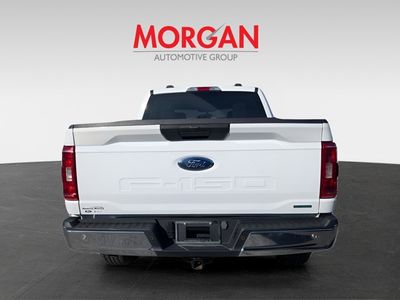 2023 Ford F-150 — rear three-quarter view