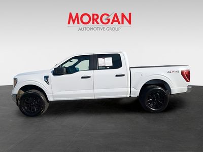 2023 Ford F-150 — detail view