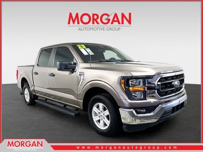 2023 Ford F-150 XLT in Gray — front three-quarter view