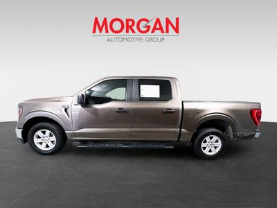 2023 Ford F-150 — detail view