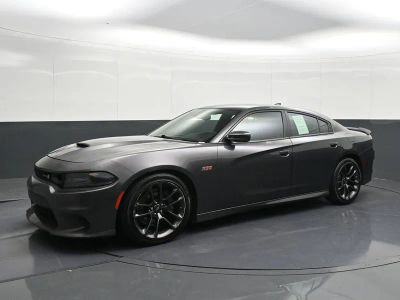 2022 Dodge Charger Scat Pack in Gray — front three-quarter view