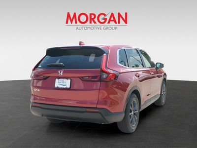 2026 Honda CR-V - Photo 4