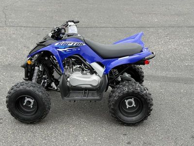 2026 Yamaha Raptor 110 - Photo 6