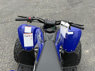 2026 Yamaha Raptor 110 - Photo 17