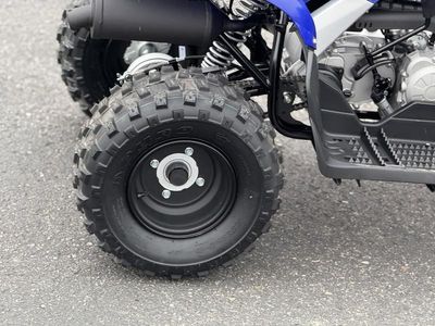2026 Yamaha Raptor 110 - Photo 13