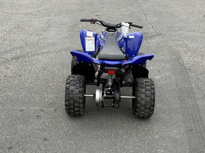 2026 Yamaha Raptor 110 - Photo 4