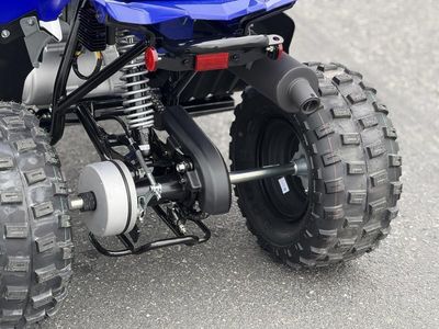 2026 Yamaha Raptor 110 - Photo 14