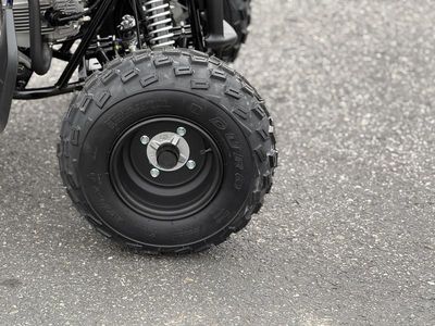 2026 Yamaha Raptor 110 - Photo 11