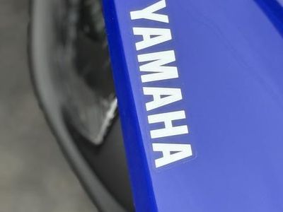 2026 Yamaha Raptor 110 - Photo 22