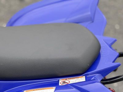 2026 Yamaha Raptor 110 - Photo 15