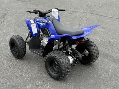 2026 Yamaha Raptor 110 - Photo 5