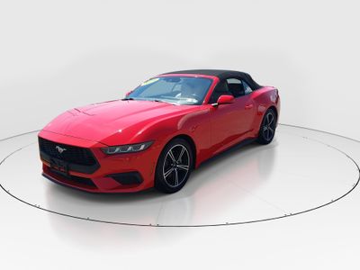 2024 Ford Mustang - Photo 3