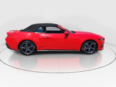 2024 Ford Mustang - Photo 8