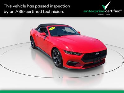 2024 Ford Mustang - Photo 1