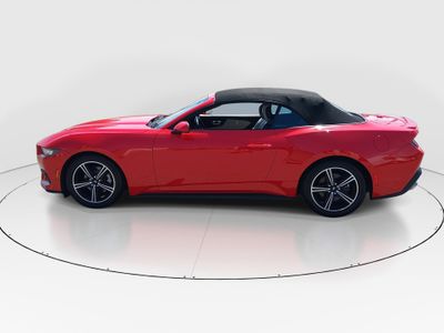 2024 Ford Mustang - Photo 4