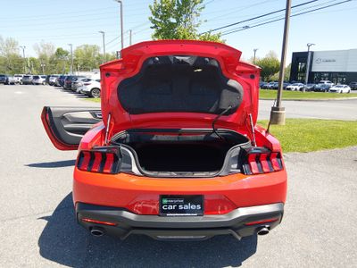 2024 Ford Mustang - Photo 11