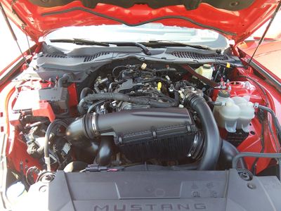 2024 Ford Mustang - Photo 9