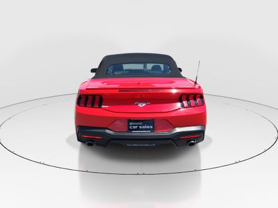 2024 Ford Mustang - Photo 6