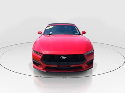 2024 Ford Mustang - Photo 2