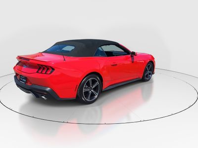 2024 Ford Mustang - Photo 7