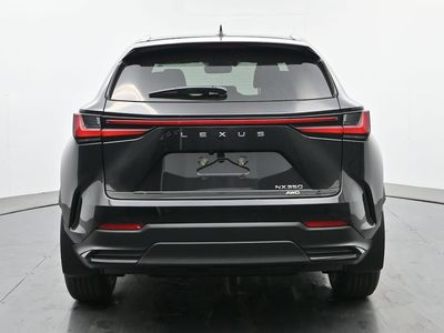 2026 Lexus NX - Photo 4