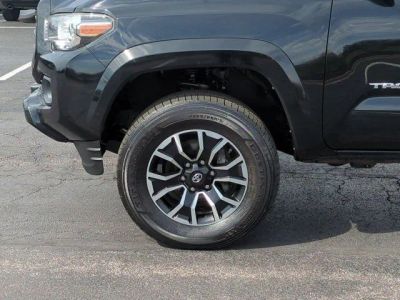 2021 Toyota Tacoma - Photo 8