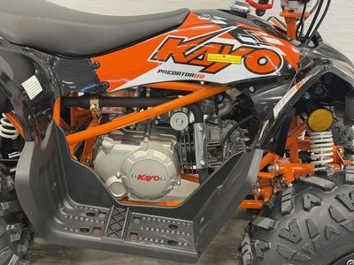 2026 Kayo Predator 125 - Photo 17