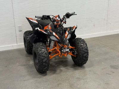 2026 Kayo Predator 125 - Photo 4