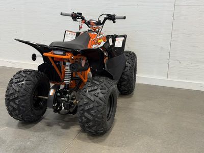 2026 Kayo Predator 125 - Photo 12