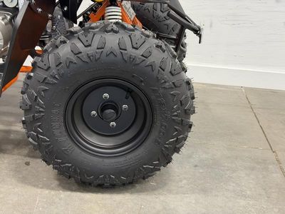 2026 Kayo Predator 125 - Photo 16