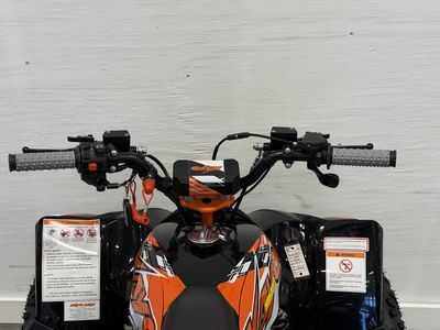 2026 Kayo Predator 125 - Photo 13