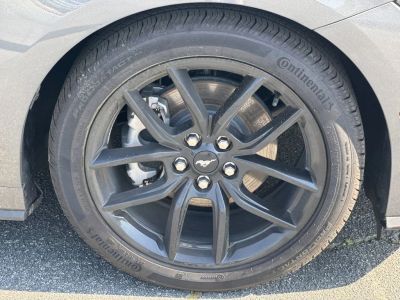 2026 Ford Mustang - Photo 12