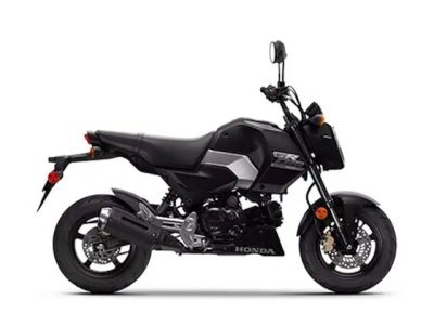 2025 Honda® Grom SP — front three-quarter view