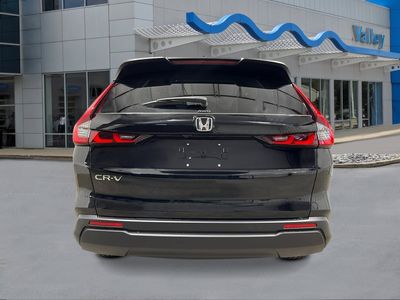 2026 Honda CR-V - Photo 4