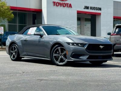 2024 Ford Mustang - Photo 2