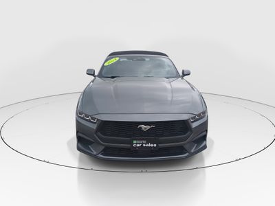 2024 Ford Mustang - Photo 2