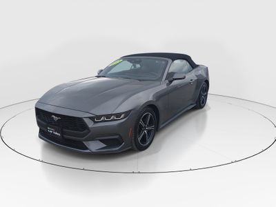 2024 Ford Mustang - Photo 3