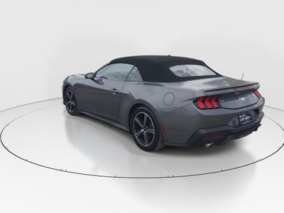2024 Ford Mustang - Photo 5