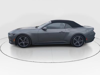 2024 Ford Mustang - Photo 4