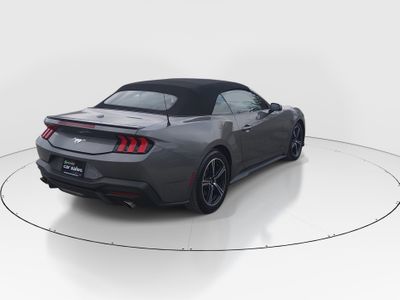 2024 Ford Mustang - Photo 7