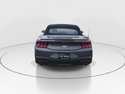 2024 Ford Mustang - Photo 6
