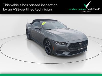 2024 Ford Mustang - Photo 1