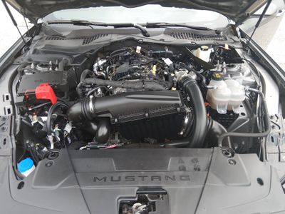2024 Ford Mustang - Photo 9