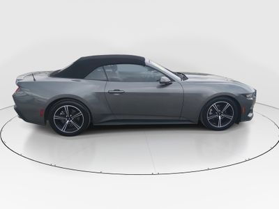 2024 Ford Mustang - Photo 8
