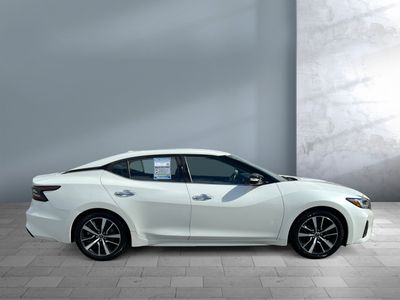 2023 Nissan Maxima — detail view