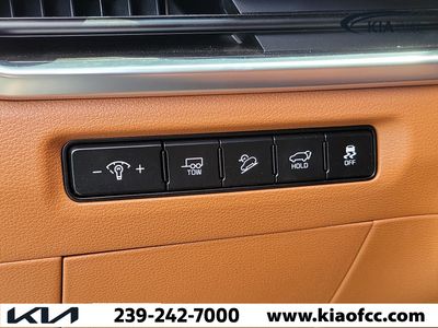 2025 Kia Telluride - Photo 26