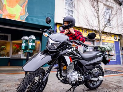 2025 Honda XR150L - Photo 29