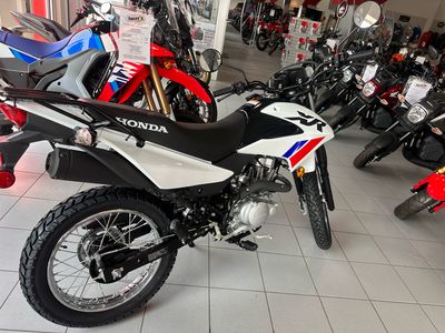 2025 Honda XR150L - Photo 4