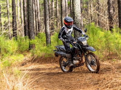 2025 Honda XR150L - Photo 26