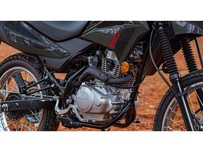 2025 Honda XR150L - Photo 14